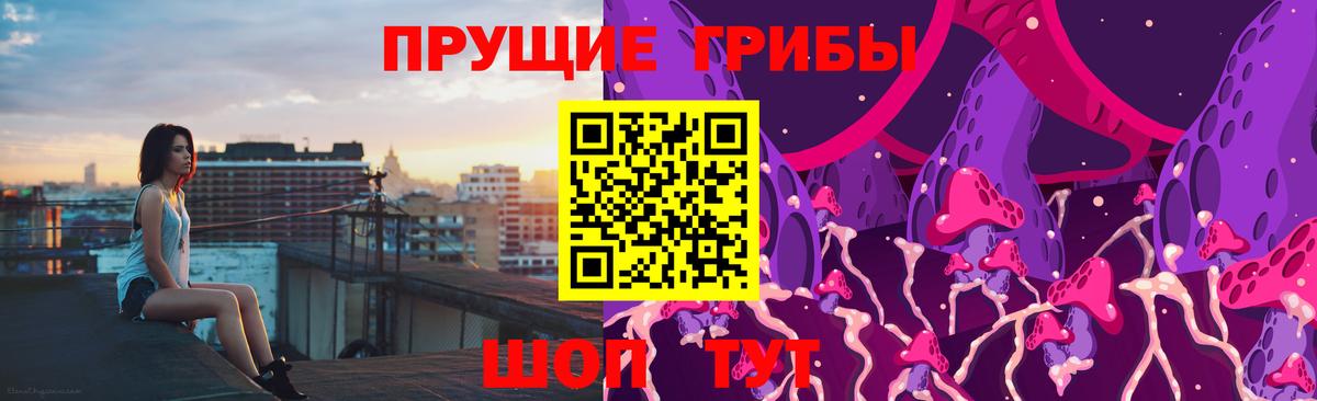 Псилоцибиновые грибы GOLDEN TEACHER Братск